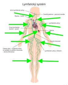 Lavyl Lymph 50 ml